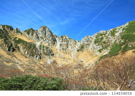 千疊敷捲曲 114839058