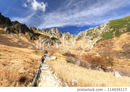 千疊敷捲曲 114839117