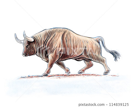 Analog touch, hand-drawn bullfighting illustrations, oil painting style, paintings Year of the Ox, New Year's card materials, AI-generated images Analog touch, hand-drawn bullfighting illustrations, oil painting style, paintings Year of the Ox, New Year's card materials, AI-generated images 114839125