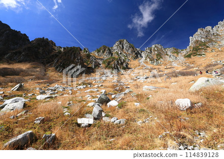 千疊敷捲曲 114839128