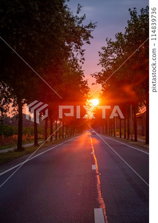 Enjoy a breathtaking sunset on a serene road lined with trees, under an orange and red sky Enjoy a breathtaking sunset on a serene road lined with trees, under an orange and red sky 114839736
