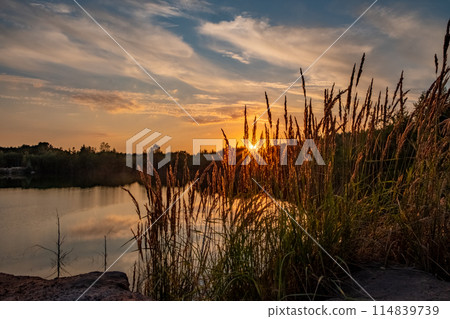 Experience a serene sunset at a tranquil lakeside with tall grass, appreciating natures beauty Experience a serene sunset at a tranquil lakeside with tall grass, appreciating natures beauty 114839739