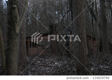 Abandoned Cabin in Dense Forest on Overcast Day with a Gloomy and Mysterious Aura 114839740