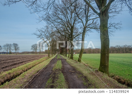 Winter Country Trail Between Plowed Fields Winter Country Trail Between Plowed Fields 114839924