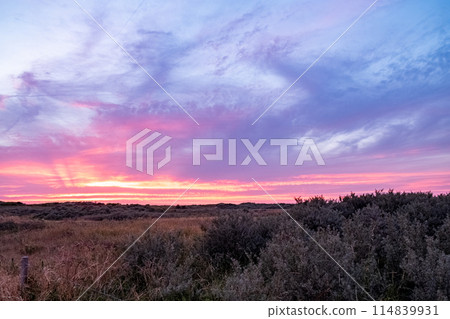 Majestic Sunset Over Heathland with Dramatic Skies 114839931