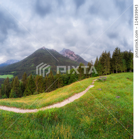 Meadow with road and bench in Berchtesgaden National Park Meadow with road and bench in Berchtesgaden National Park 114839943