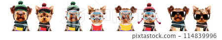 Funny dogs wearing hat and scarf Funny dogs wearing hat and scarf 114839996