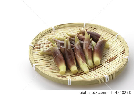 新鮮 Myoga（Myoga）（白色背景） 114840238