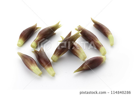 Fresh myoga (white background) 114840286