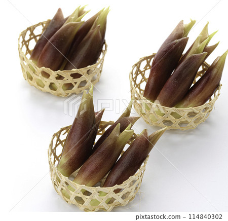 Fresh myoga (white background) Fresh myoga (white background) 114840302