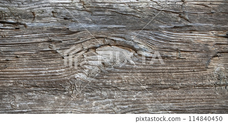 Old Wood texture background. Nature texture 114840450