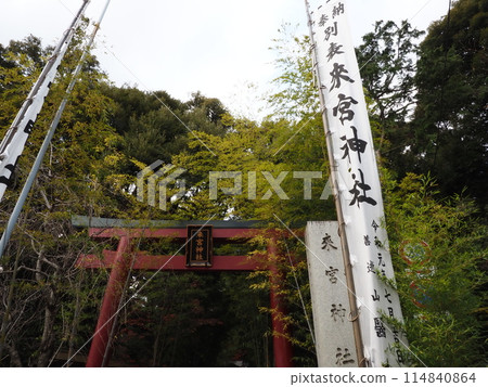 Komiya Shrine Komiya Shrine 114840864