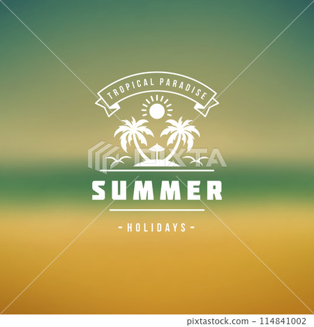 Summer holidays label or badge typography slogan design Summer holidays label or badge typography slogan design 114841002