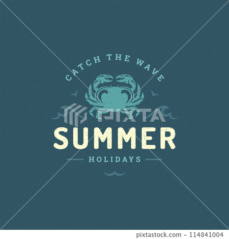 Summer holidays label or badge typography slogan design 114841004