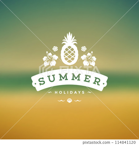 Summer holidays label or badge typography slogan design 114841120