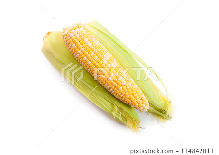 Several ears of sweet corn isolated on a white background. . 114842011