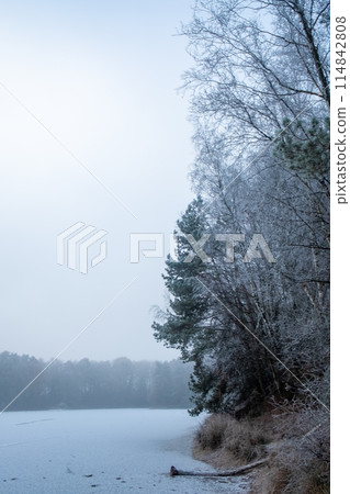 Winter Lakeside: Hushed Morning in Frost 114842808