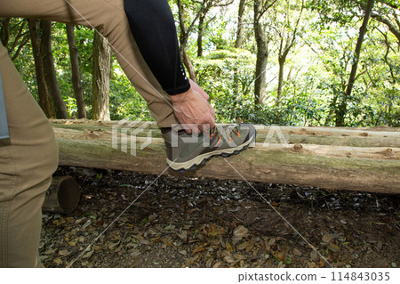 登山、健行、健行圖片 114843035