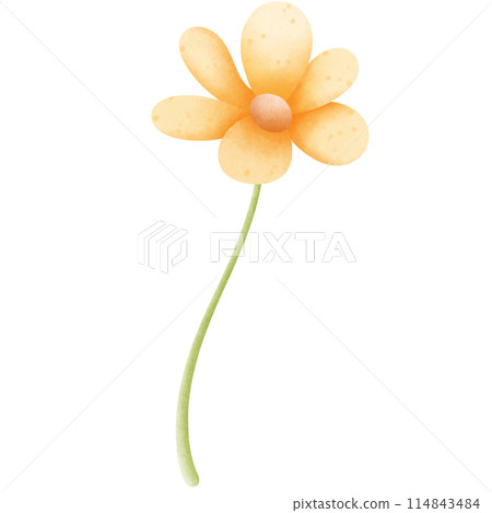 Bee 114843484