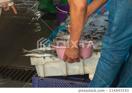 Unidentifiable elderly woman's hand points to saury-like fish lying on ice in the city's indoor fish market, a market in Morocco, and asks the vendor for their value Unidentifiable elderly woman's hand points to saury-like fish lying on ice in the city's indoor fish market, a market in Morocco, and asks the vendor for their value 114843543