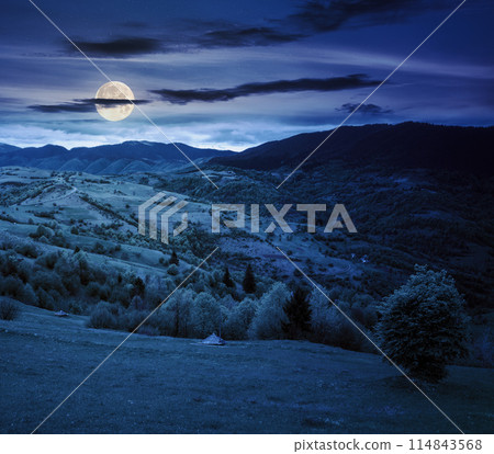 rural mountain landscape in spring at night. grass and trees on the hills rolling through the green valley in to the distant ridge beneath a cloudy sky in full moon light rural mountain landscape in spring at night. grass and trees on the hills rolling through the green valley in to the distant ridge beneath a cloudy sky in full moon light 114843568