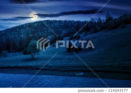 mountainous landscape with river at night. scenery with forest on the hill and trees on the grassy shore in full moon light 114843577