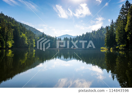 scenery with alpine lake synevyr of carpathian mountains in morning light. summer landscape with coniferous forest reflecting in the water. popular travel destination of transcarpathia, ukraine 114843596