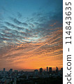 Sunset in Tokyo 114843635