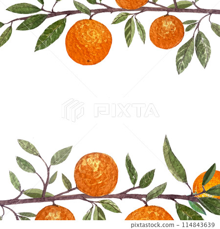 Orange fruit branch watercolor horizontal frame isolated on white background. High quality hand drawn art for food design, packages, restaurant menu, cards, natural organic food, label, logo and decor 114843639