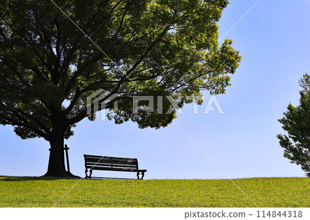 與長凳的風景 114844318