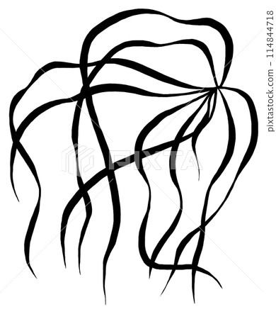 Hand drawn grass leaves, black outlines, isolated illustration, wedding stationery element Hand drawn grass leaves, black outlines, isolated illustration, wedding stationery element 114844718