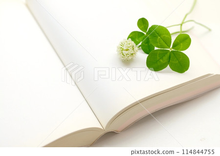 Four-leaf clover and a white book 114844755