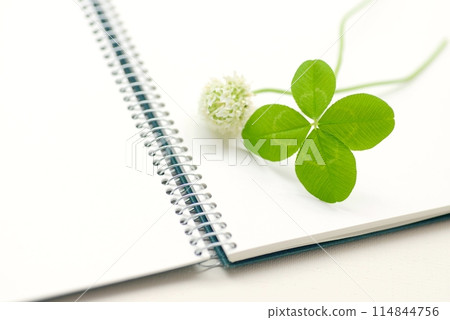 Four-leaf clover and a white sketchbook 114844756
