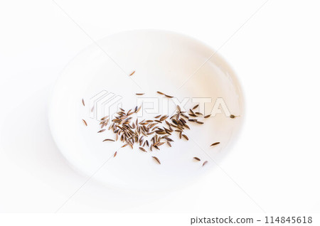 蔬菜種子三葉 蔬菜種子三葉 114845618