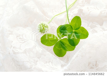 Four-leaf clover and white lace 114845662