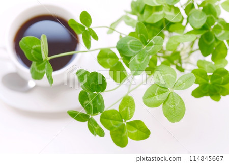 大量四葉草和咖啡的輕鬆時刻 四葉草 114845667