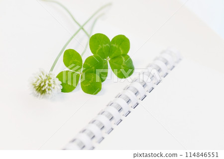 Four-leaf clover and white notebook 114846551