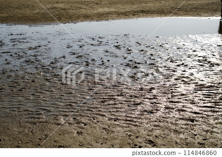 Water-filled beach at Chichibugahama 114846860