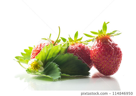 red ripe strawberry spring on a white background 114846950