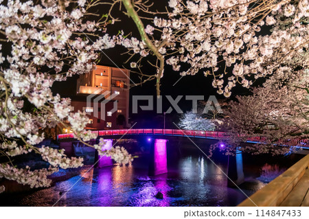 Red bridge light up with cherry blossom from Ureshino Onsen Red bridge light up with cherry blossom from Ureshino Onsen 114847433
