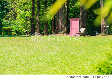 Red Hill Heather Forest, beautiful green Sequoia sempervirens (Tsu City, Mie Prefecture) 114847555