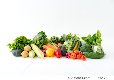 各種蔬菜的集合 114847800