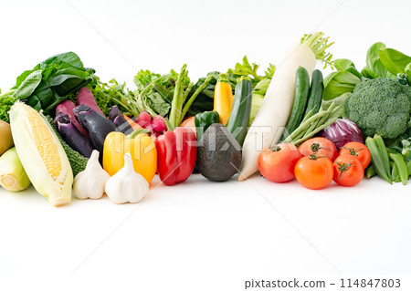 各種蔬菜的集合 114847803