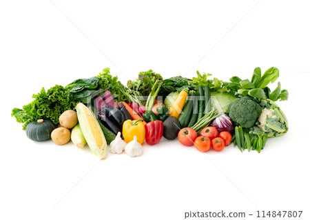 各種蔬菜的集合 各種蔬菜的集合 114847807