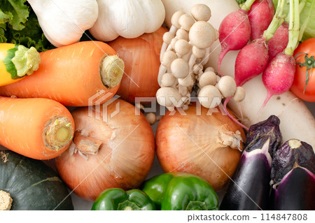 各種蔬菜的集合 各種蔬菜的集合 114847808