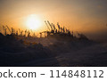 北海道鄂霍次庫薩羅馬冬季風光 114848112