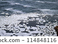 鄂霍次克流冰，北海道的冬天 114848116
