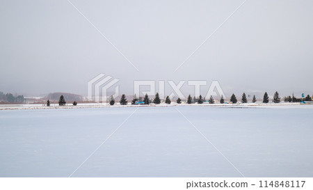 北海道冬季雪場 北海道冬季雪場 114848117