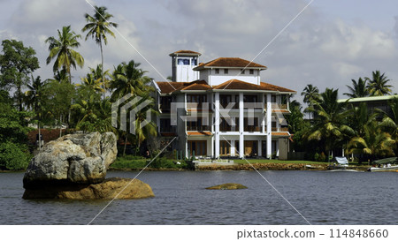 The view of mansion on the shore with palm trees. Action. Living at the sea shore with green vegetation. 114848660