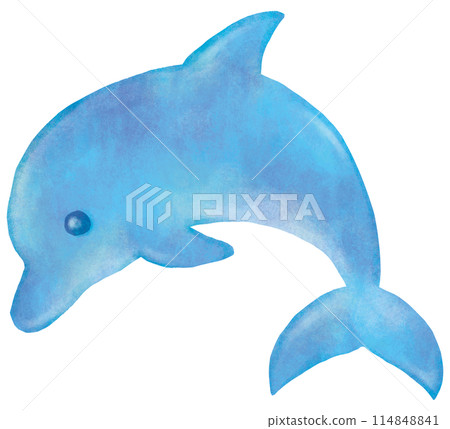 illustration of cute dolphin illustration of cute dolphin 114848841